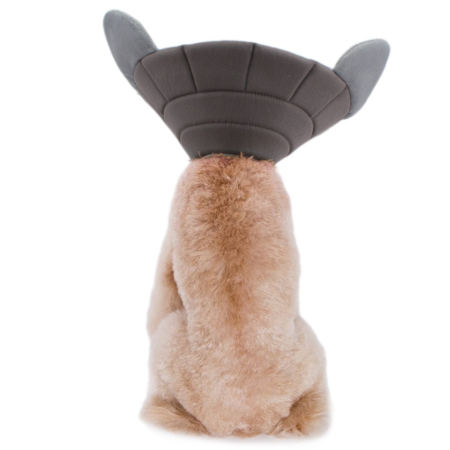 Alfie エリザベスカラー