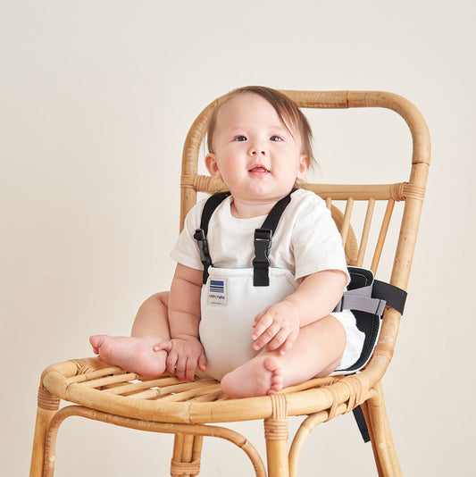 キャリフリー チェアベルト ホールド Plus(プラス)