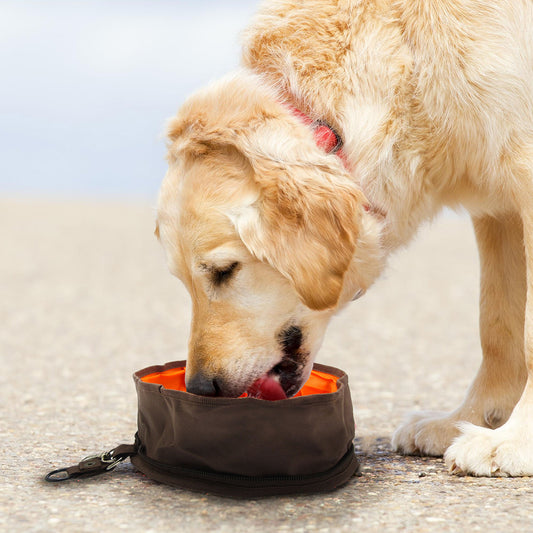 Alfie ペットボウル ファブリックボウル