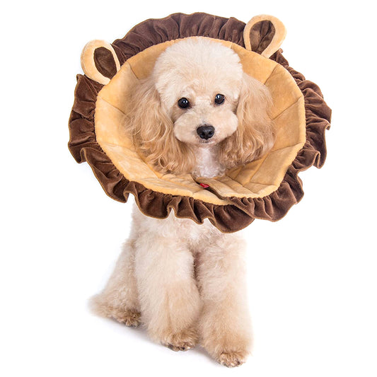 Alfie エリザベスカラー