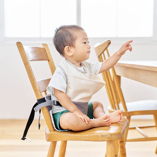 キャリフリー　チェアベルトとエプロン